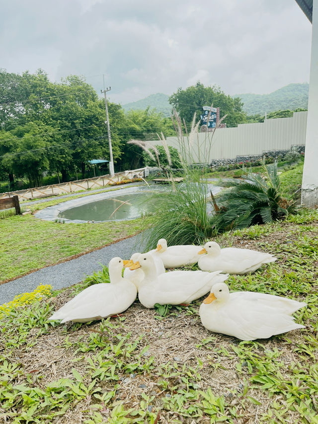 หลีกหนีความวุ่นวายในเมืองมาพักใจที่คาเฟ่มวกเหล็ก