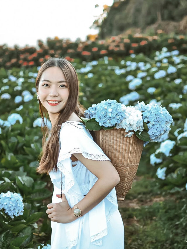 💐 บ้านขุนแปะ – หมู่บ้านกลางขุนเขา ที่มีหมอก ดอกไม้