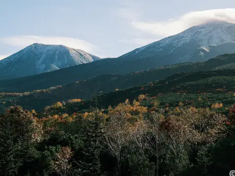 北海道，自然與生命共舞的旅程。