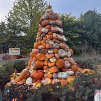 Franklin Park Conservatory and Botanical Gardens