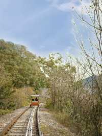 Scenic Pedal Fun😊 Scenic Pedal Adventure Along Bukhangang River