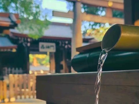 A Peaceful Escape in the Heart of Tokyo — Meiji Jingu Shrine