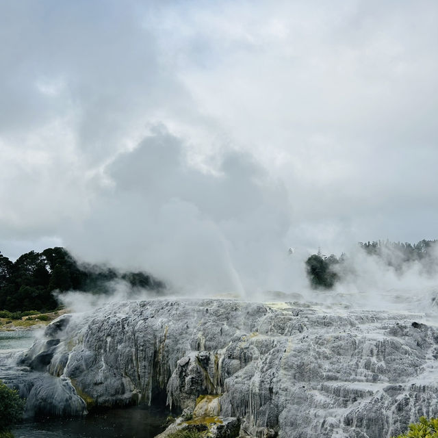 【ニュージーランド】北島3泊5日モデルプラン🇳🇿