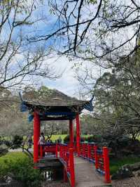 🌿悉尼北區秘境一日遊|離城市最近的「世界公園」