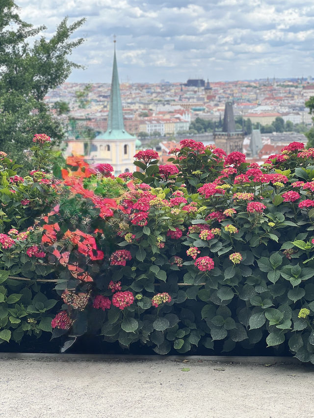 푸른 여름, 프라하성에서 만난 시원한 풍경