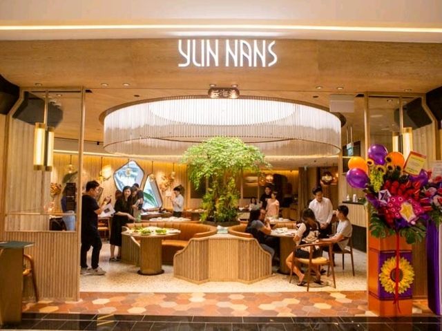 🍽️ Changi Airport: A Global Foodie Destination! 🇸🇬✈️