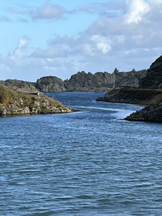 노르웨이 하우게순드: 고요한 해안, 장엄한 교회, 그리고 연어 미식으로 힐링!