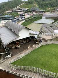 Cameron Highlands Short But Memorable Trip ✨