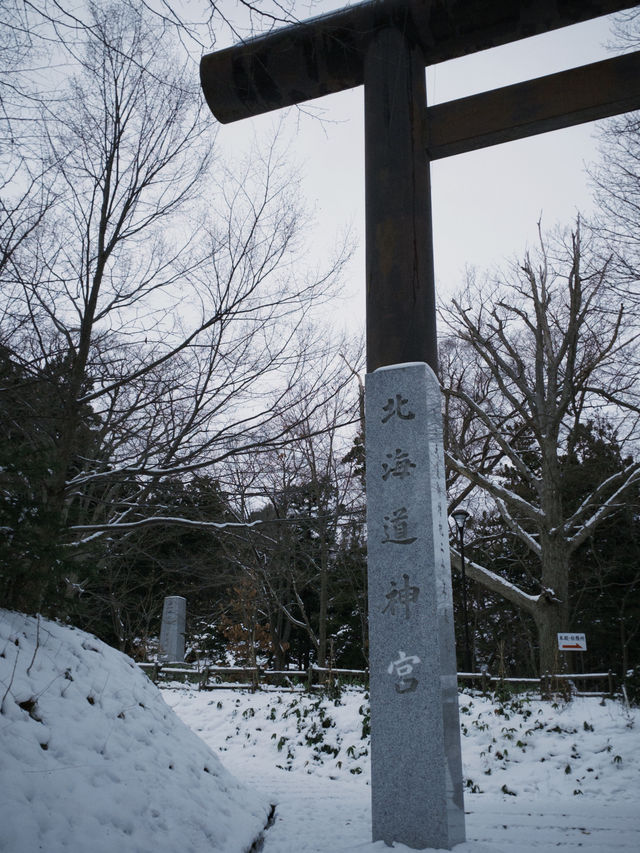 【札幌|冬季最療癒半日】北海道神宮雪參道+神宮茶屋抹茶+森彥咖啡老宅,冬日𥚃的小確幸 【札幌|冬季最療癒半日】北海道神宮雪參道+神宮茶屋抹茶+森彥咖啡老宅,冬日𥚃的小確幸