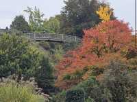 Queen Elizabeth Park