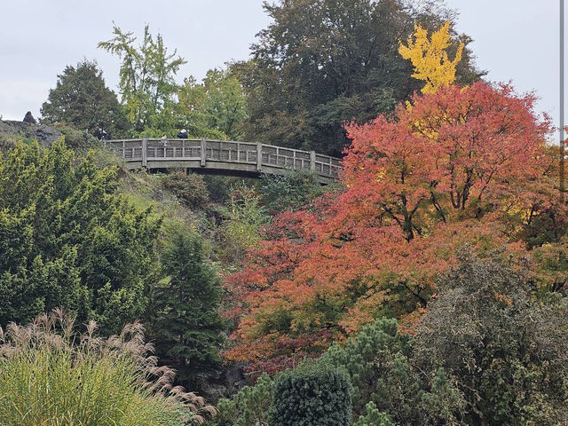 Queen Elizabeth Park
