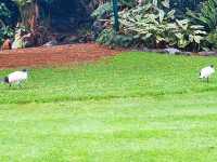 Beautiful park excellent for walking, nature, birdwatching and relaxing. Not many flowers more landscapes and beautiful trees.