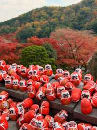 หลงเสน่ห์ใบไม้แดงญี่ปุ่น สีสันสุดประทับใจ🍁🥰