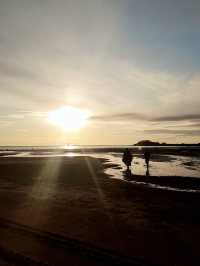 🇰🇷겨울철 캠핑하기 딱좋은 달산포 여행 완벽정리