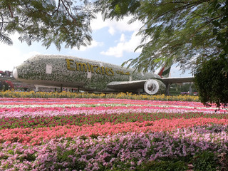 🌸✨ 杜拜奇蹟花園 🇦🇪