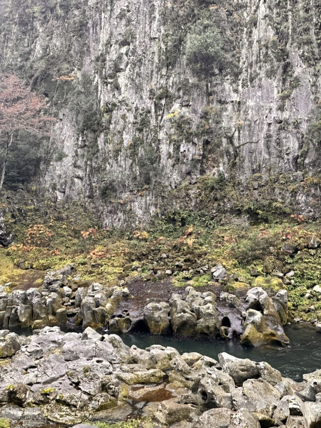 高千穗峽的🍁楓葉美到爆炸：一日遊看完我直接重刷人生