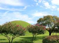 사계절 언제 가도 좋은 천년고도 경주