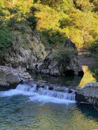 雙流國家森林遊樂區