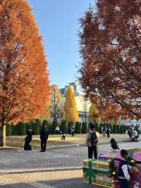 Christmassy Autumn in Noritake Garden, Nagoya 🍁🎄