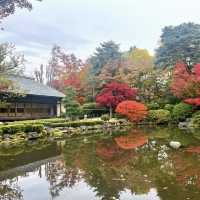 秋日限定南知多町楓葉賞景🏞️