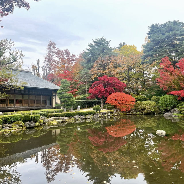 秋日限定南知多町楓葉賞景🏞️ 秋日限定南知多町楓葉賞景🏞️