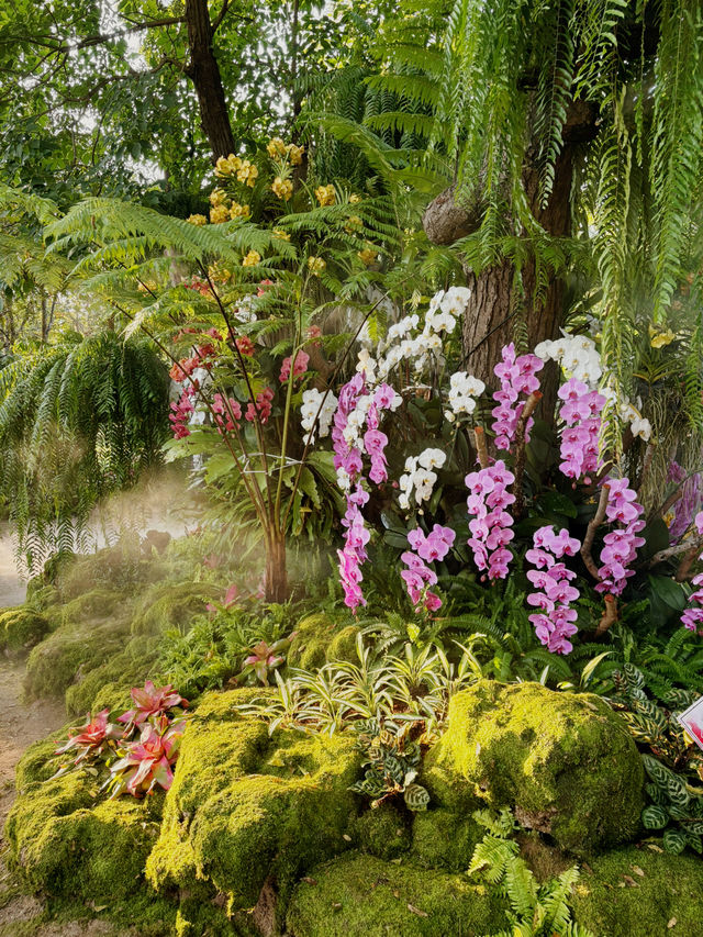 “Lampang Orchid & Aurora Festival” “Lampang Orchid & Aurora Festival”