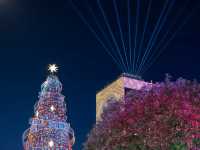 Celestial Contrast: The Luminous Geometry of Christmas