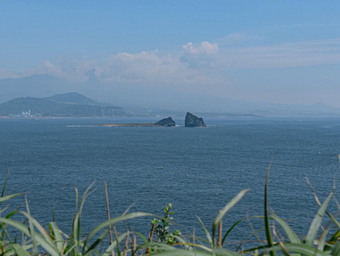 紫杜松　半懸崖 濟州島國內推薦旅遊路線：松嶽山步道｜Trip.com 西歸浦市