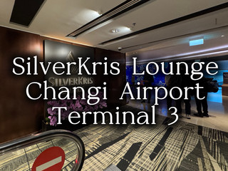 ✈️ SilverKris Lounge T3 — That Otah Toast Hits Every Time