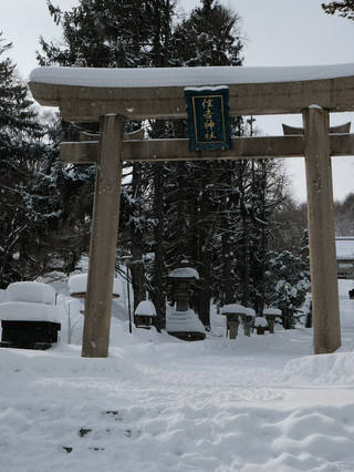 Sumiyoshi Shrine⛩️