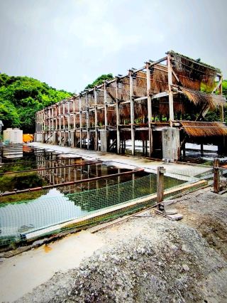 ​Touching the Source of Life: A Visit to the Takaesu Salt Factory.