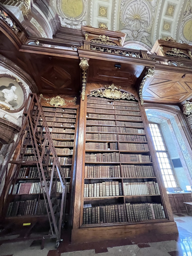 世界で最も美しいバロック様式の図書館の一つ。 | Trip.com ウィーン