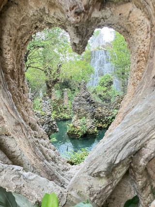 Step into a Fairytale Forest in Thailand: Chiang Mai's Dantewada Land of Angels Waterfall Park