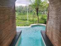 Bamboo Dreaming: The Ultimate Bali Adults-Only Escape at Bambootel Sarah View 🌴🍃