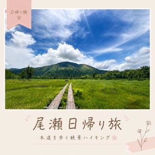 A perfect day trip to Oze from Tokyo.