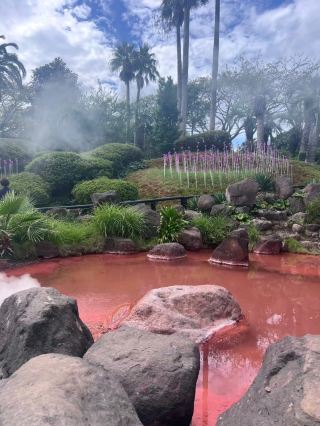 [Oita] A Must-Visit! The Classic Sightseeing Route: Mystical Usa Jingu Shrine, Beppu, and Yufuin.