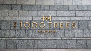 Shanghai’s 1000 Trees: Where Cityscape Meets Living Art 🌳🏙️