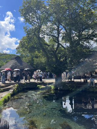【山梨】忍野八海超讚掃街美食之旅。