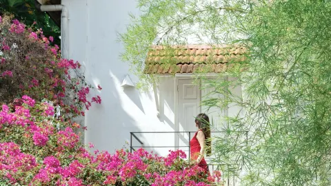 A suite blooming with bougainvillea. — traveler post in Colombo