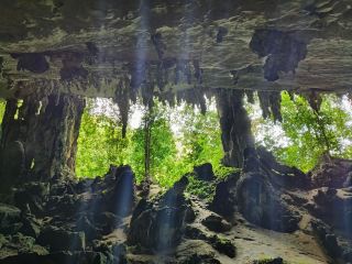 Half day trip at Gua Niah