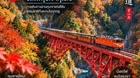 비밀의 계곡으로 떠나는 여행 — 주황색 열차를 타고 깊은 협곡과 에메랄드빛 강물을 따라 — traveler post in 도쿄