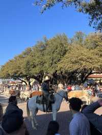 [미국 달라스 대표 관광명소] Fort Worth Stockyards