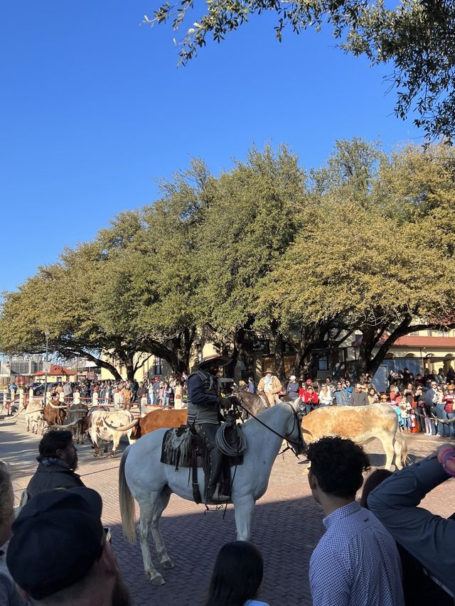 [미국 달라스 대표 관광명소] Fort Worth Stockyards