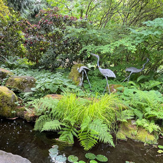 Bellevue Botanical Garden