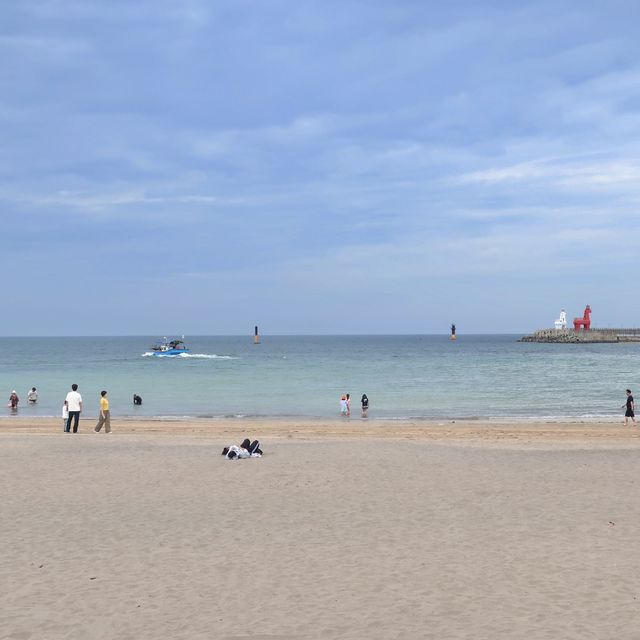 귀여운 목마가 있는 이호테우 해변🌊🌴