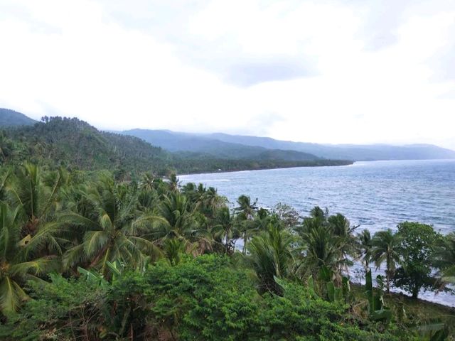 Real Hilltop View