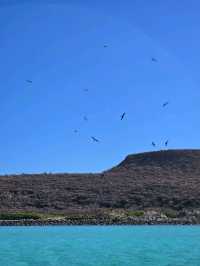 🗺My perfect 2-day itinerary in La Paz, Mexico 🇲🇽