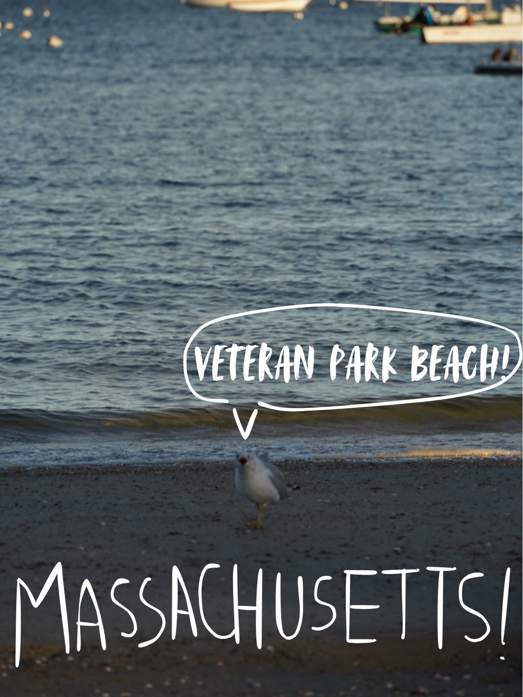 🇺🇸Hyannis Veterans Memorial Park, Massachusetts: A public space for remembrance and recreation🏞️