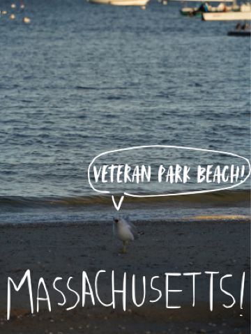 🇺🇸Hyannis Veterans Memorial Park, Massachusetts: A public space for remembrance and recreation🏞️