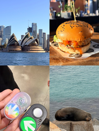 Melbourne to Sydney Road Trip 🛣️